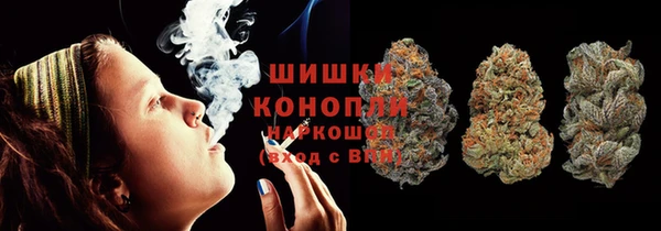 прущие крисы Магас