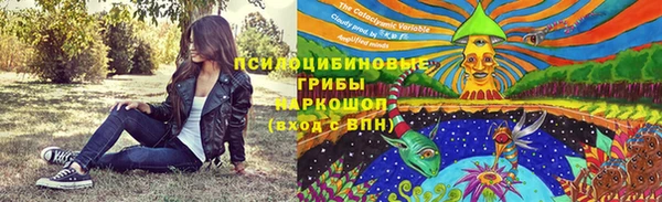 спайс Липки