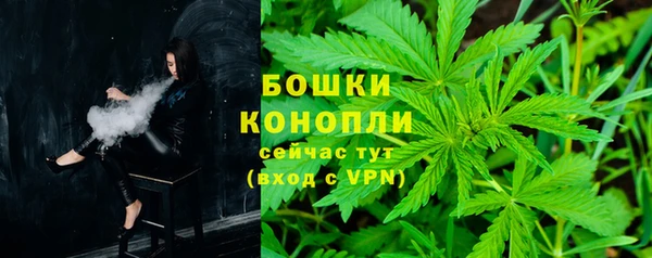 стаф Магадан