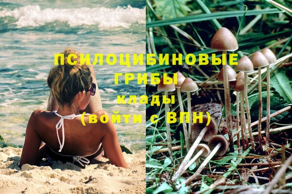 спайс Липки