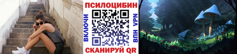 Купить где  Тихвин  Галлюциногенные грибы MAGIC MUSHROOMS 